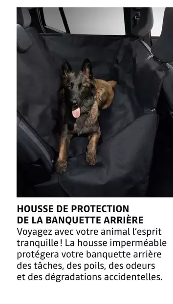 Tranquille - Housse De Protection De La Banquette Arrière offre sur Dacia