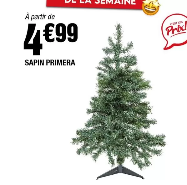 Sapin Primera