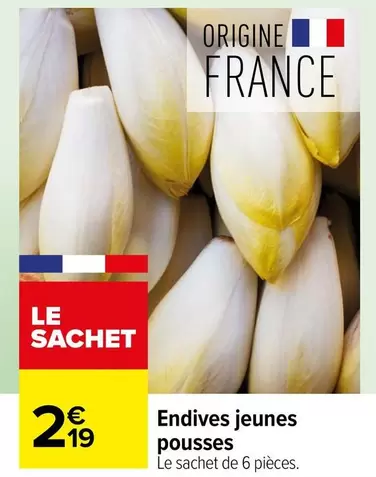 Endives Jeunes Pousses