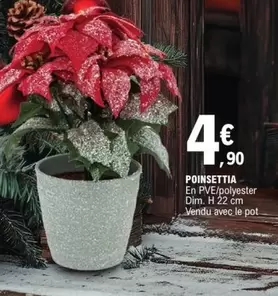 Dim - Poinsettia offre à 4,9€ sur E.Leclerc