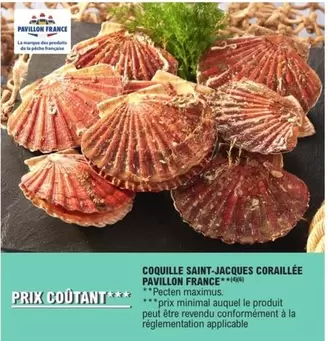 Pavillon France - Coquille Saint-jacques Coraillee offre sur E.Leclerc