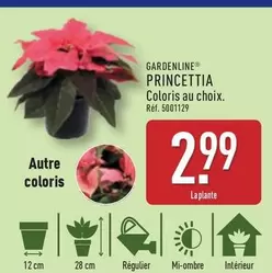 Gardenline - Princettia offre à 2,99€ sur Aldi