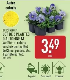 Gardenline - Lot De 6 Plantes D'Automne offre à 3,49€ sur Aldi