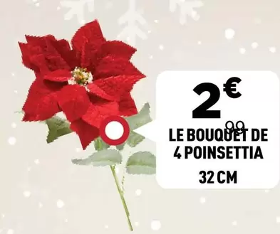 Le Bouquet De 4 Poinsettia offre à 2€ sur Centrakor