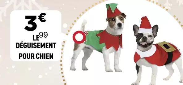 Déguisement Pour Chien