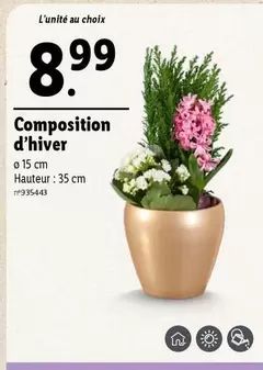 Composition D'hiver offre à 8,99€ sur Lidl