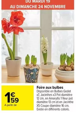 Foire Aux Bulbes offre à 1,59€ sur Carrefour Market