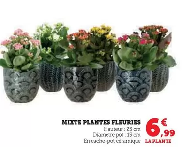 Mixte Plantes Fleuries offre à 6,99€ sur Hyper U