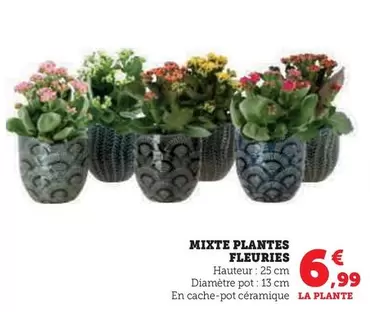 Mixte Plantes Fleuries offre à 6,99€ sur Super U