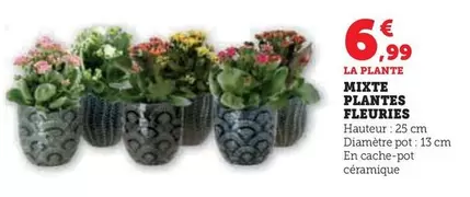 Mixte Plantes Fleuries offre à 6,99€ sur Super U