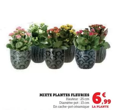 Mixte Plantes Fleuries offre à 6,99€ sur Super U