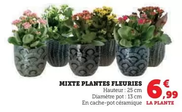 Mixte Plantes Fleuries offre à 6,99€ sur Super U