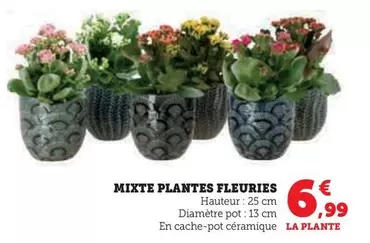 Mixte Plantes Fleuries offre à 6,99€ sur Super U