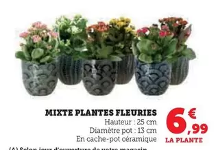 Mixte Plantes Fleuries offre à 6,99€ sur Super U