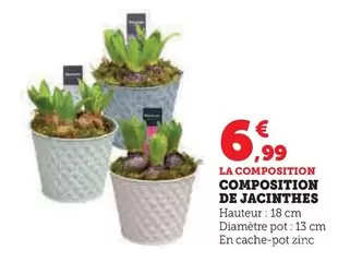 Composition De Jacinthes offre à 6,99€ sur Super U