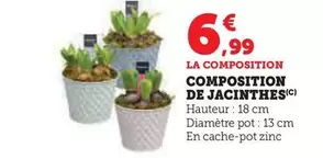 Composition De Jacinthes offre à 6,99€ sur Hyper U