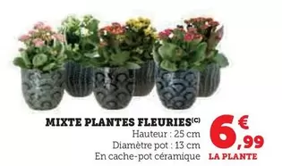 Mixte Plantes Fleuries offre à 6,99€ sur Hyper U