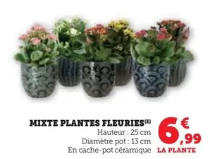 Mixte Plantes Fleuries offre à 6,99€ sur Super U