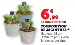 Composition De Jacinthes offre à 6,99€ sur Super U