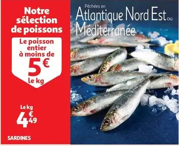 Sardines offre à 4,49€ sur Auchan Hypermarché