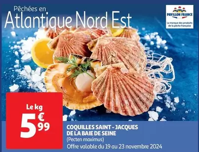 Pavillon France - Coquilles Saint Jacques De La Baie De Seine offre à 5,99€ sur Auchan Hypermarché