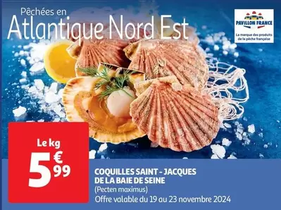 Pavillon France - Coquilles Saint Jacques De La Baie De Seine offre à 5,99€ sur Auchan Hypermarché