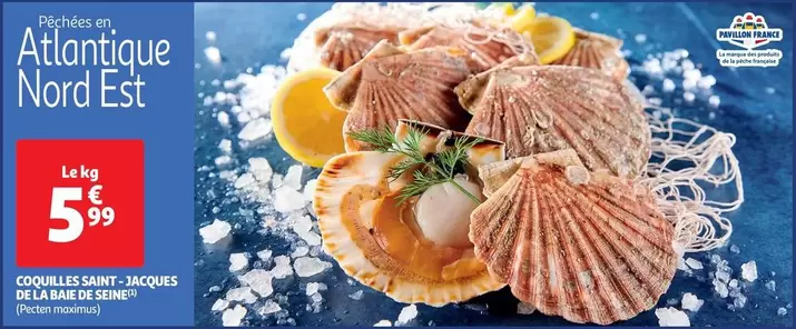 Pavillon France - Coquilles Saint Jacques De La Baie De Seine offre à 5,99€ sur Auchan Supermarché