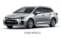 Silver Metallic offre sur Suzuki