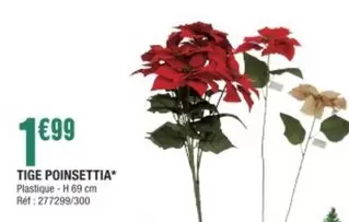 Tige Poinsettia offre à 1,99€ sur La Foir'Fouille