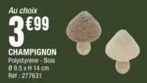 Champignon offre à 3,99€ sur La Foir'Fouille