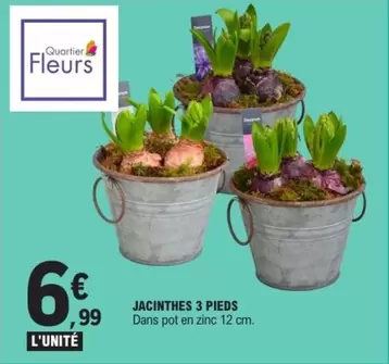 Jacinthes 3 Pieds offre à 6,99€ sur E.Leclerc