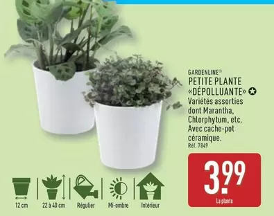 Gardenline - Petite Plante Dépolluante offre à 3,99€ sur Aldi