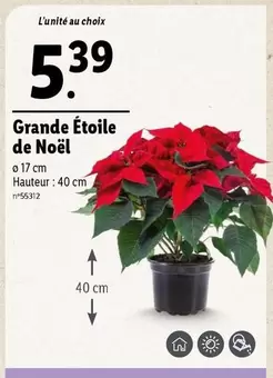 Grande Étoile De Noël offre à 5,39€ sur Lidl