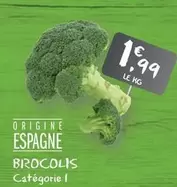 Brocolis offre à 1,99€ sur G20