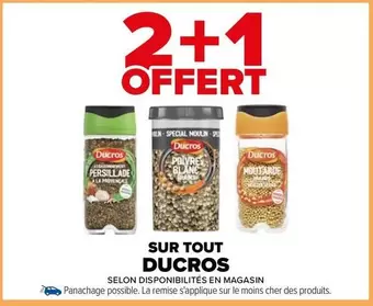 Ducros - Sur Tout offre sur Carrefour City