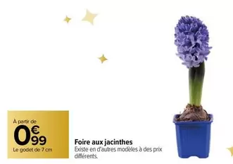 Foire Aux Jacinthes offre à 0,99€ sur Carrefour