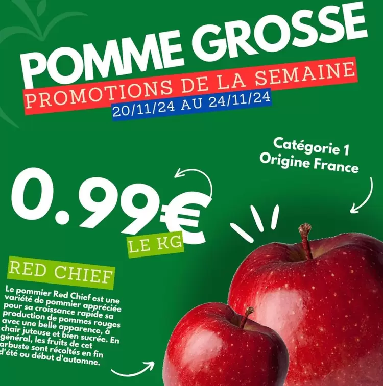 Alimentation offre sur marché frais Géant