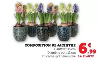 Composition De Jacinthe offre à 6,99€ sur Super U