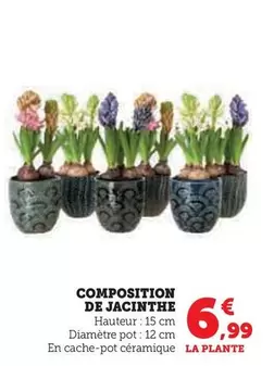 Composition De Jacinthe offre à 6,99€ sur Super U