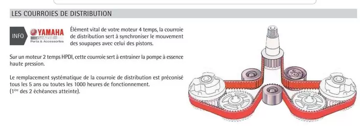 Yamaha - Les Courroies De Distribution offre sur Yamaha