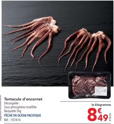 Tentacule D'Encornet offre à 8,49€ sur Metro