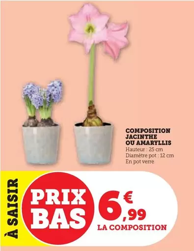 Composition Jacinthe Ou Amaryllis offre à 6,99€ sur Hyper U