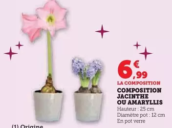 Composition Jacinthe Ou Amaryllis offre à 6,99€ sur U Express