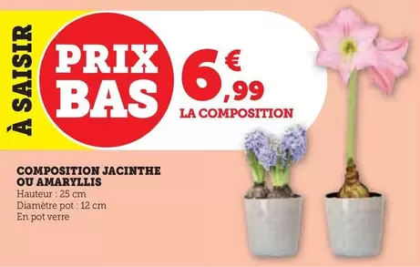 Composition Jacinthe Ou Amaryllis offre à 6,99€ sur U Express