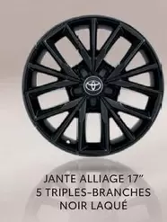 Jate Alliage 17" 5 Triples-branches Noir Laque