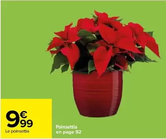 Poinsettia offre à 9,99€ sur Carrefour City