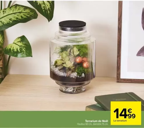 Terrarium De Noël offre à 14,99€ sur Carrefour City