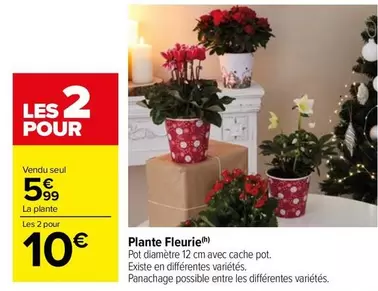 Plante Fleurie offre à 5,99€ sur Carrefour Market