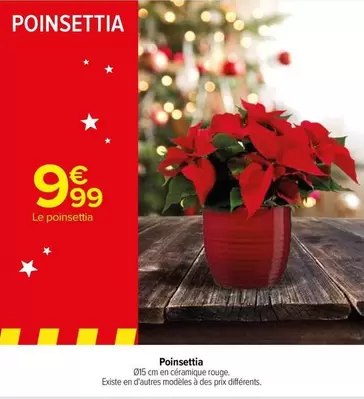 Poinsettia offre à 9,99€ sur Carrefour Drive