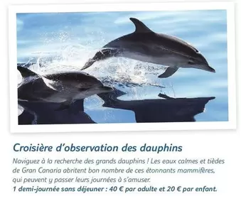 Croisière D'Observation Des Dauphins offre à 40€ sur TUI